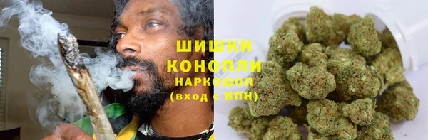PSILOCYBIN Алзамай