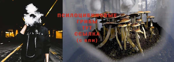 PSILOCYBIN Алзамай