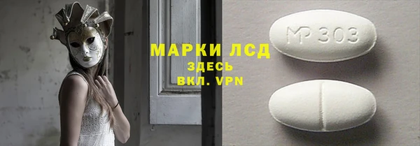 PSILOCYBIN Алзамай