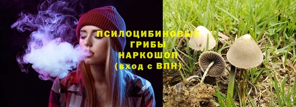 PSILOCYBIN Алзамай