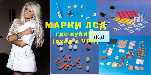 PSILOCYBIN Алзамай