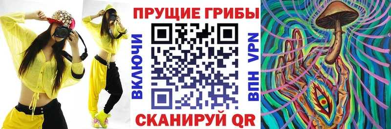 где купить наркоту Карабулак Псилоцибиновые грибы MAGIC MUSHROOMS